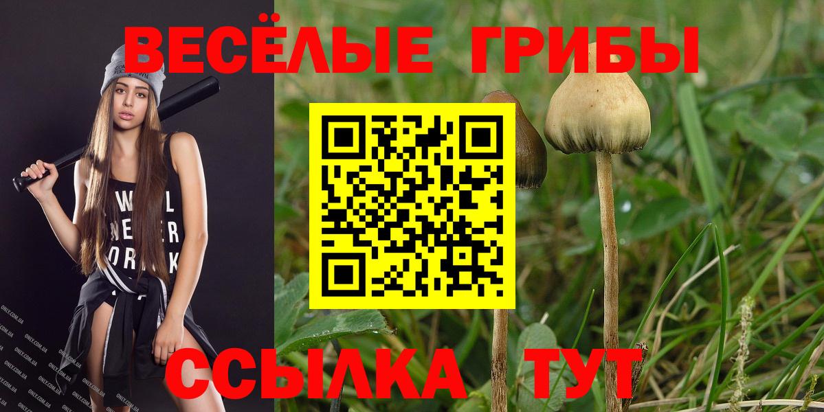 Галлюциногенные грибы GOLDEN TEACHER Борзя