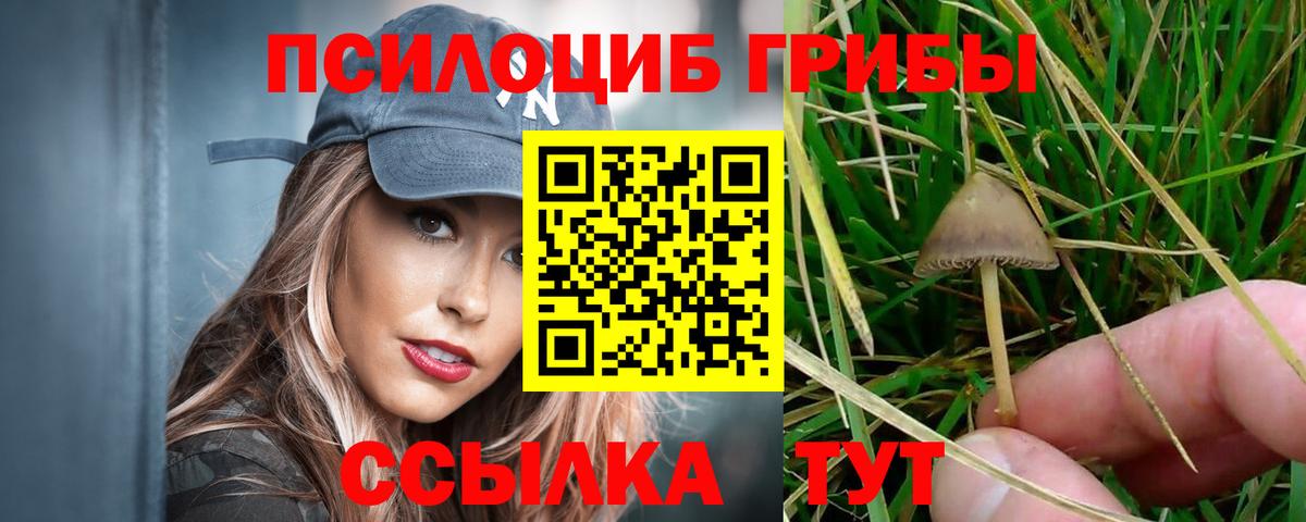 Галлюциногенные грибы мицелий  Вход с VPN  Борзя 